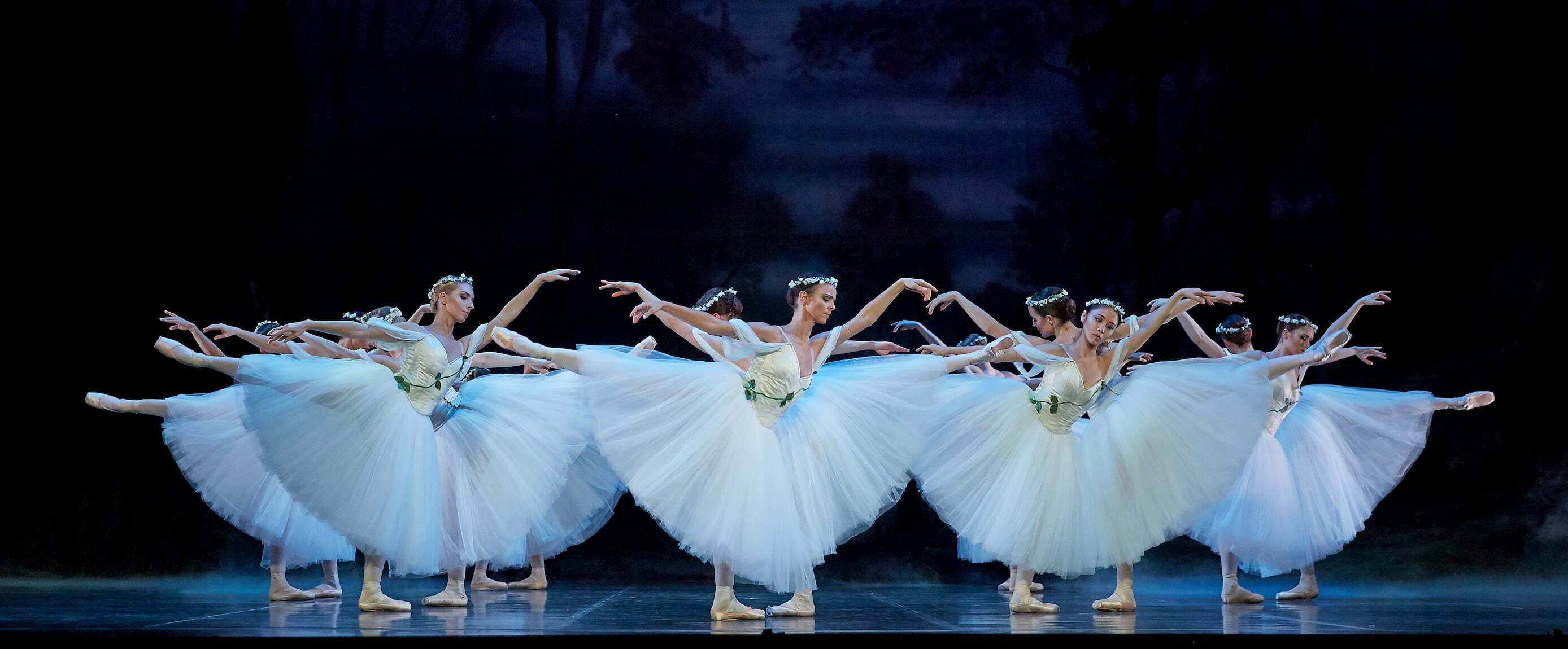 The dancers of West Australian Ballet as Wilis in Giselle (2019). Photo by Sergey Pevnev